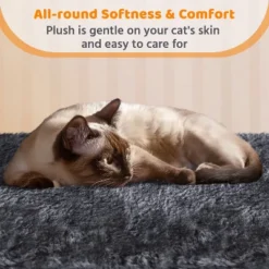 Yaheetech 42"H Cat Tree House With 2 Condos For Small Cats Kittens 13 Yaheetech 42"H Cat Tree House With 2 Condos For Small Cats Kittens -Furniture GUEST 526dfde6 a6e8 41cf 9121 37c2e131c37c