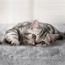 Yaheetech 62.2"H 3-Level Cat Tower With 2 Condos For Indoor Cats 15 Yaheetech 62.2"H 3-Level Cat Tower With 2 Condos For Indoor Cats -Furniture GUEST 5ba1e19c 45b7 4bc3 a837 c88ad8c468a8