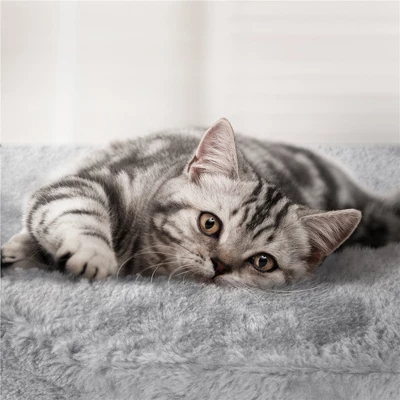 Yaheetech 62.2"H 3-Level Cat Tower With 2 Condos For Indoor Cats 4 Yaheetech 62.2"H 3-Level Cat Tower With 2 Condos For Indoor Cats - Image 4