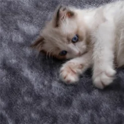 Yaheetech 69"H Large Plush Cat Tree With Platforms For Kittens Cats -Furniture GUEST 5f6afd9e f982 4b5e b4c8 72344b55bcaa