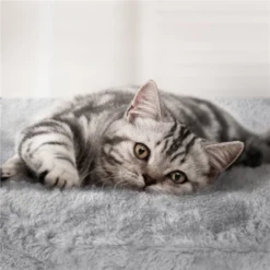 Yaheetech 76.5"H 5-Level Large Cat Tower With 3 Condos 11 Yaheetech 76.5"H 5-Level Large Cat Tower With 3 Condos -Furniture GUEST b6d85d6c 1d9e 4494 8194 d03d18d5d002