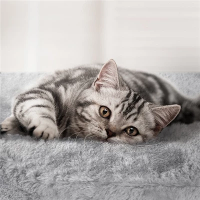 Yaheetech 76.5"H 5-Level Large Cat Tower With 3 Condos 4 Yaheetech 76.5"H 5-Level Large Cat Tower With 3 Condos - Image 4