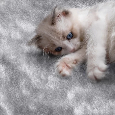 Yaheetech 76"H Large Plush Cat Tree With Platforms For Kittens Cats 4 Yaheetech 76"H Large Plush Cat Tree With Platforms For Kittens Cats - Image 4